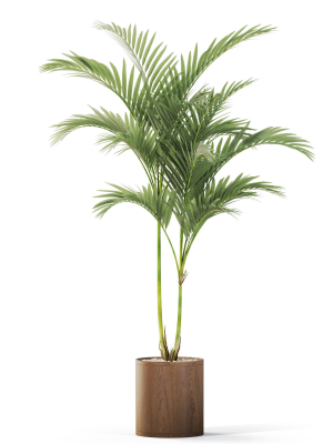 plants-collection-1099-3d-model-65d6e3e2be