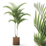 Plants collection 1099