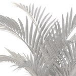 Plants collection 1099