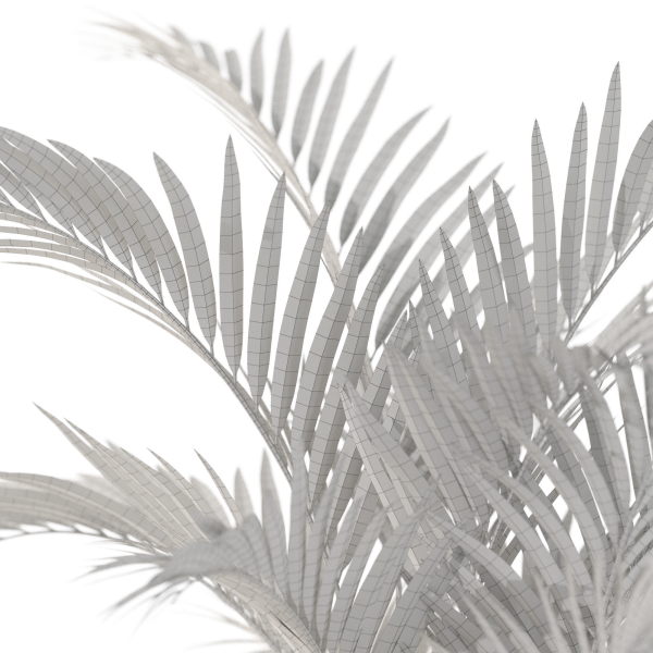 Plants collection 1099