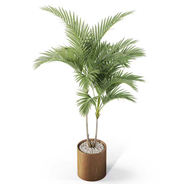 Plants collection 1099