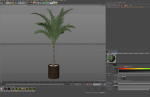 Plants collection 1100