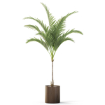 Plants collection 1100