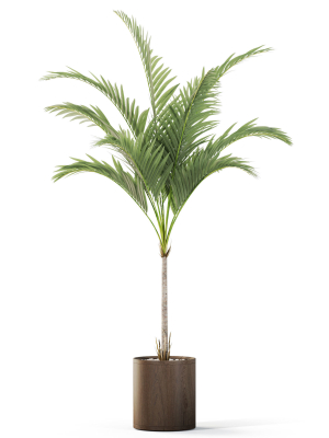 plants-collection-1100-3d-model-3459864d36