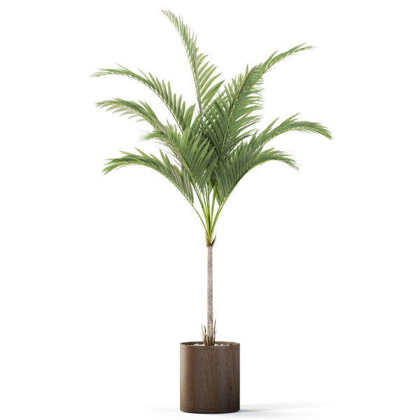 Plants collection 1100