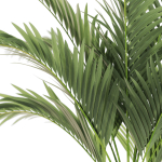 Plants collection 1100