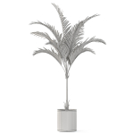 Plants collection 1100