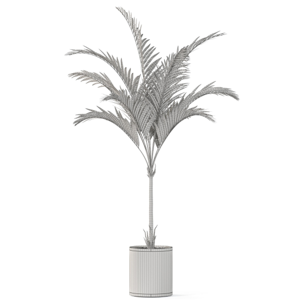 Plants collection 1100