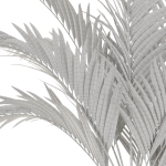 Plants collection 1100