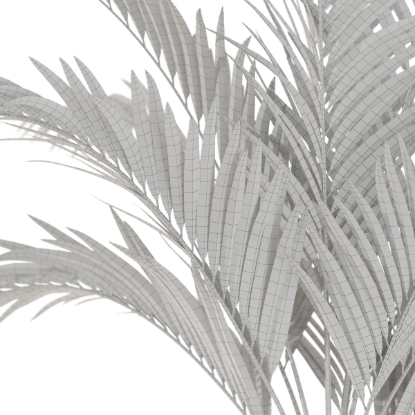 Plants collection 1100