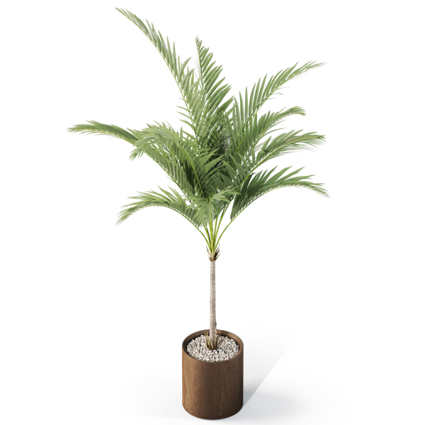 Plants collection 1100
