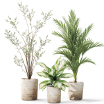 Plants collection 1101