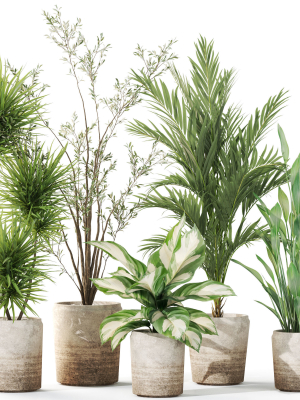 plants-collection-1101-3d-model-cb9f9f4a72