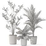 Plants collection 1101