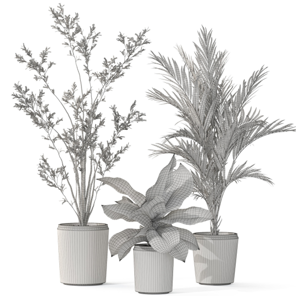 Plants collection 1101
