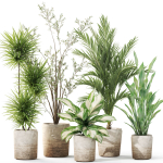 Plants collection 1101