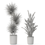 Plants collection 1101