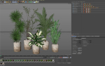 Plants collection 1101