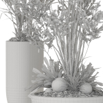 Plants collection 1102