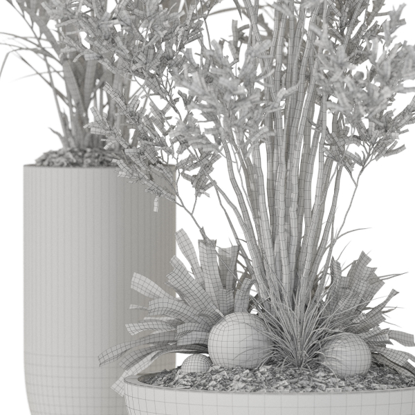 Plants collection 1102
