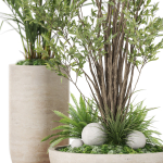 Plants collection 1102