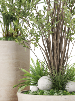plants-collection-1102-3d-model-50bdf99ea7