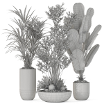 Plants collection 1102