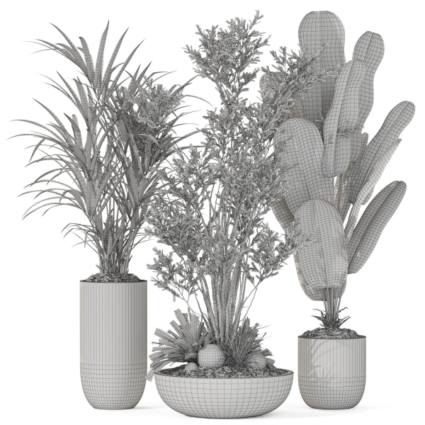 Plants collection 1102