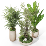 Plants collection 1102