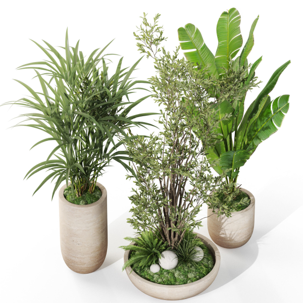 Plants collection 1102