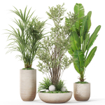 Plants collection 1102