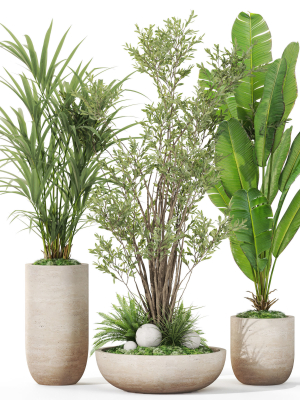 Plants collection 1102