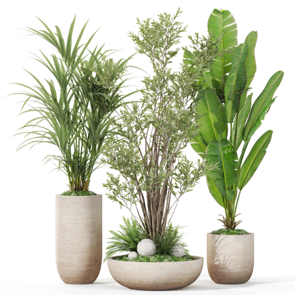 Plants collection 1102