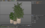 Plants collection 1103