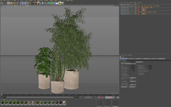 Plants collection 1103