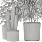 Plants collection 1103