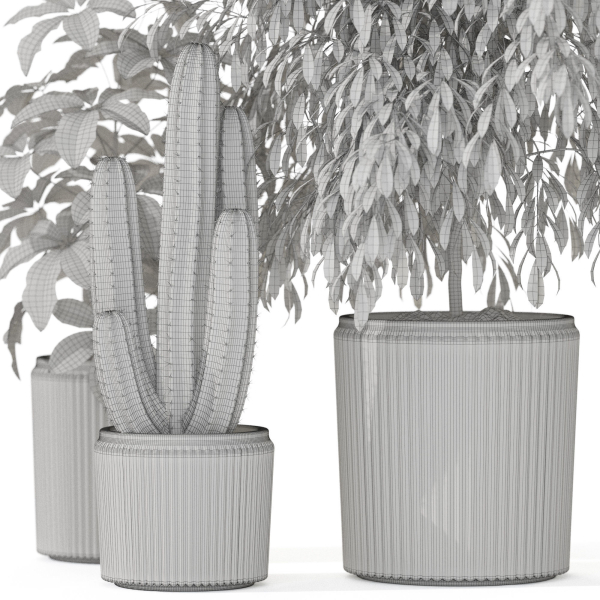 Plants collection 1103