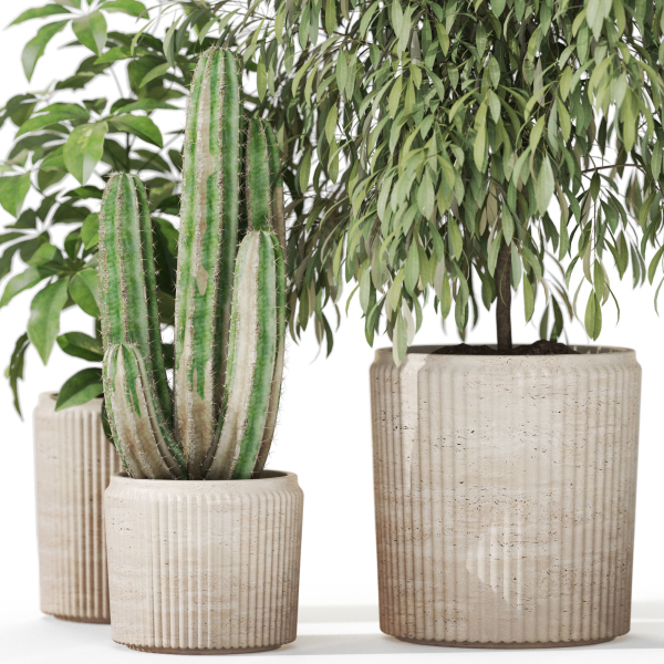 Plants collection 1103