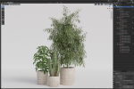 Plants collection 1103