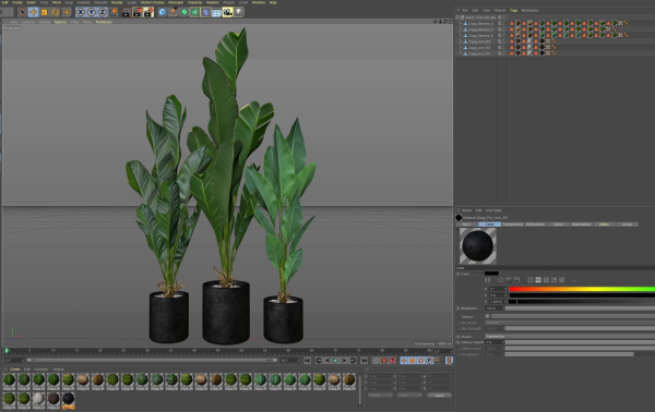 Plants collection 1104