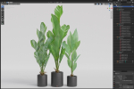 Plants collection 1104