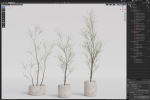 Plants collection 1105
