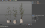 Plants collection 1105