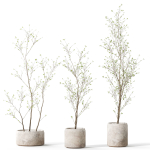 Plants collection 1105