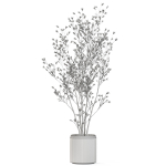 Plants collection 1106