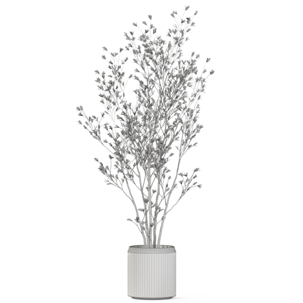 Plants collection 1106