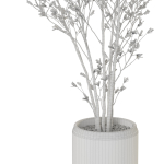 Plants collection 1106