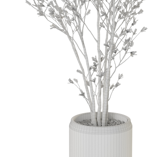 Plants collection 1106