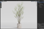 Plants collection 1106