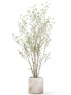 plants-collection-1106-3d-model-973fb4e762